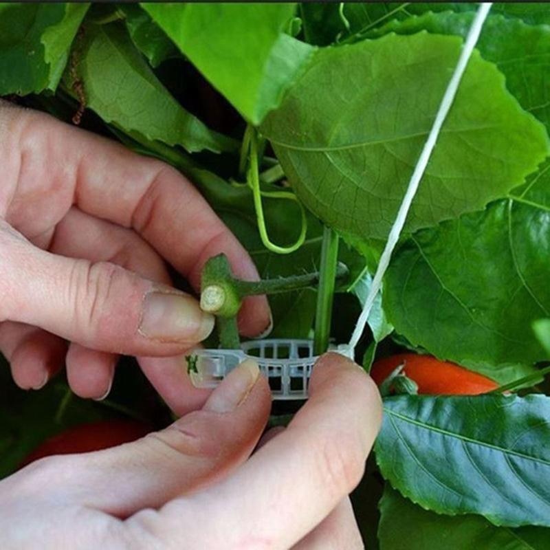Plant Support Clips 50PCS for Stems and Vines by HitMyNeed