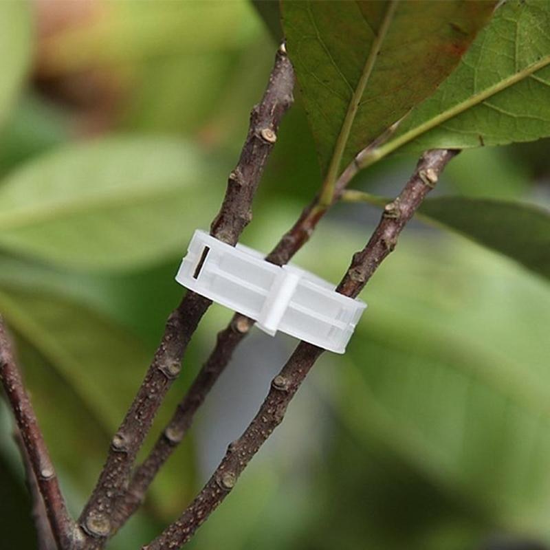 Plant Support Clips 50PCS for Stems and Vines by HitMyNeed