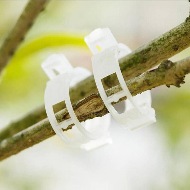 Plant Support Clips 50PCS for Stems and Vines by HitMyNeed