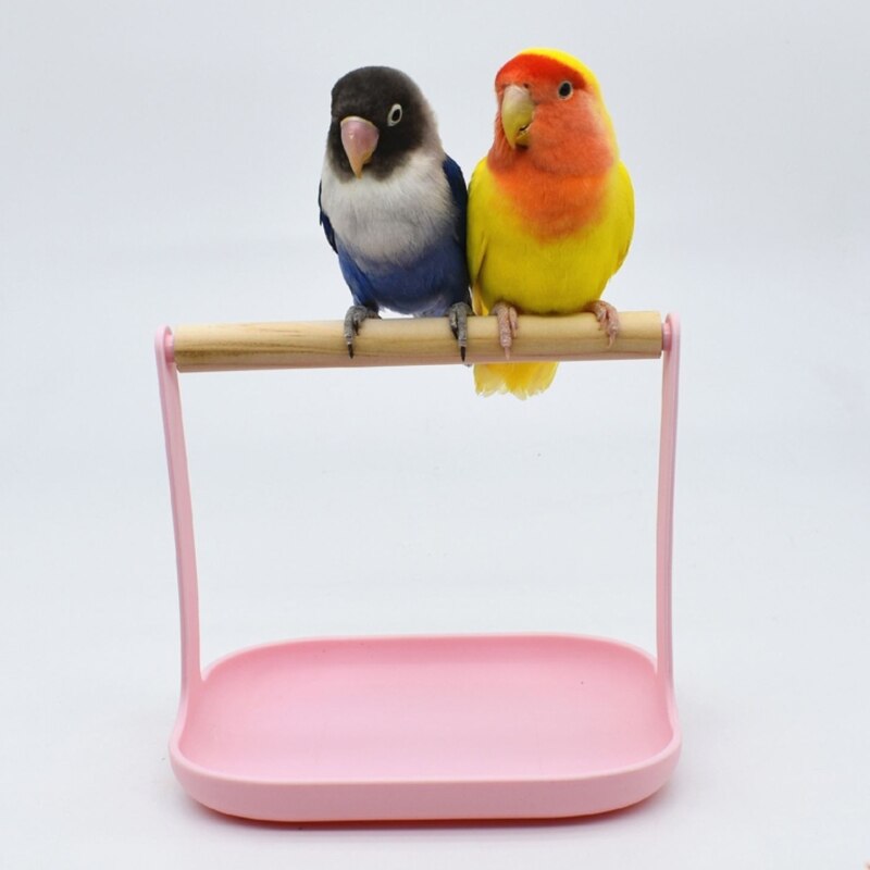 Plastic and Wood Bird Training Stand Perch by HitMyNeed