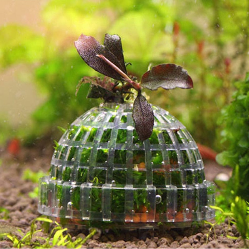 Plastic Aquarium Moss Ball Plant Grower by HitMyNeed