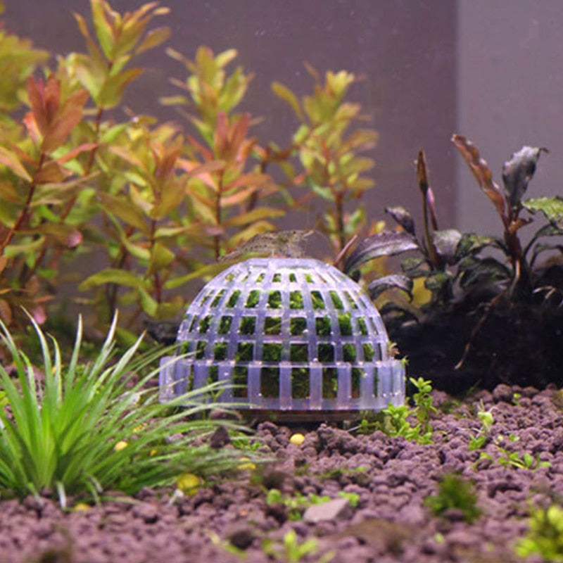 Plastic Aquarium Moss Ball Plant Grower by HitMyNeed
