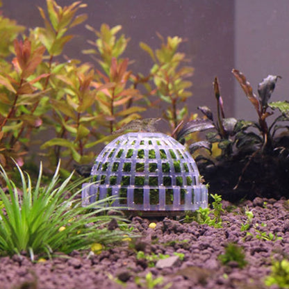 Plastic Aquarium Moss Ball Plant Grower by HitMyNeed