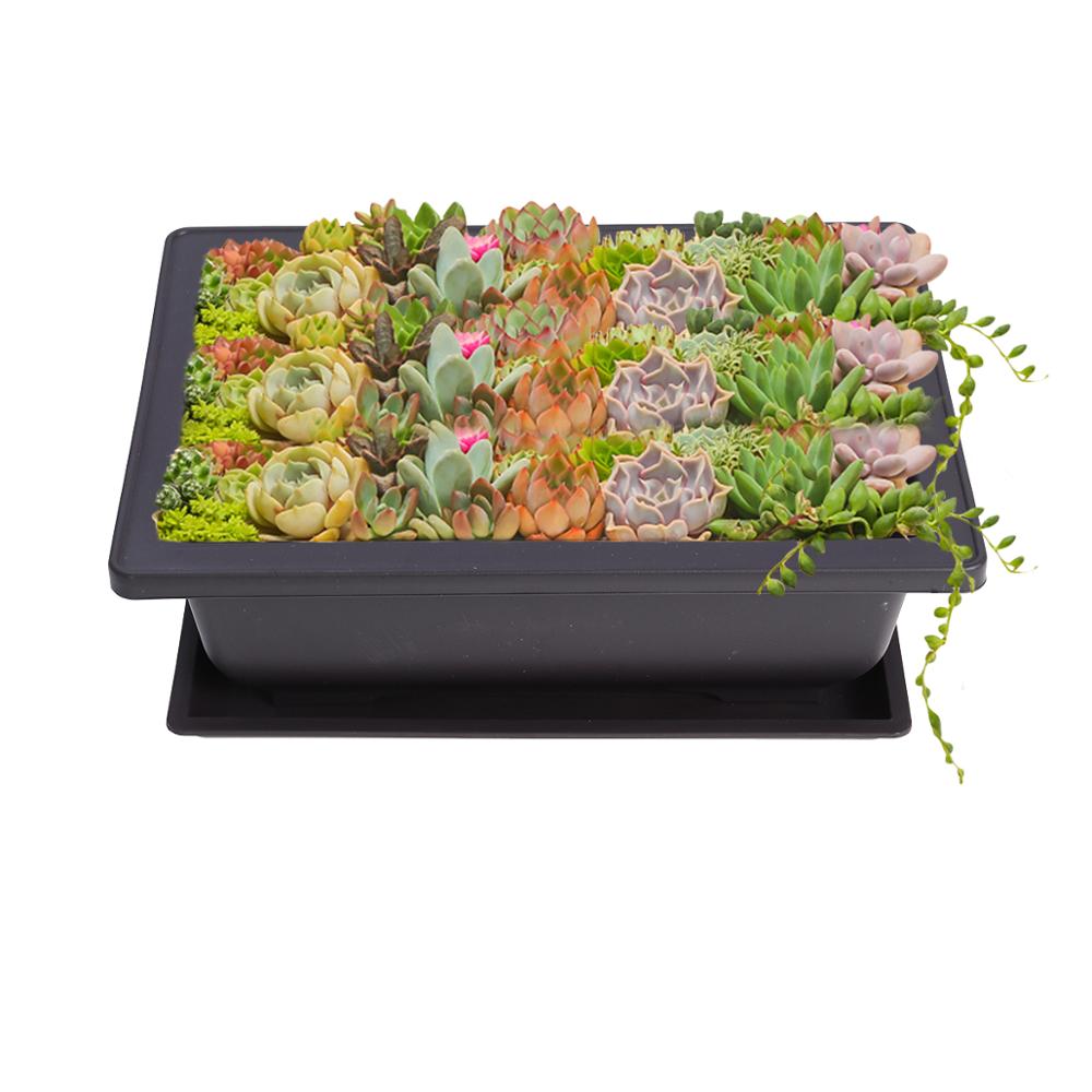 Plastic Bonsai Pots with Trays, 10-Pack by HitMyNeed