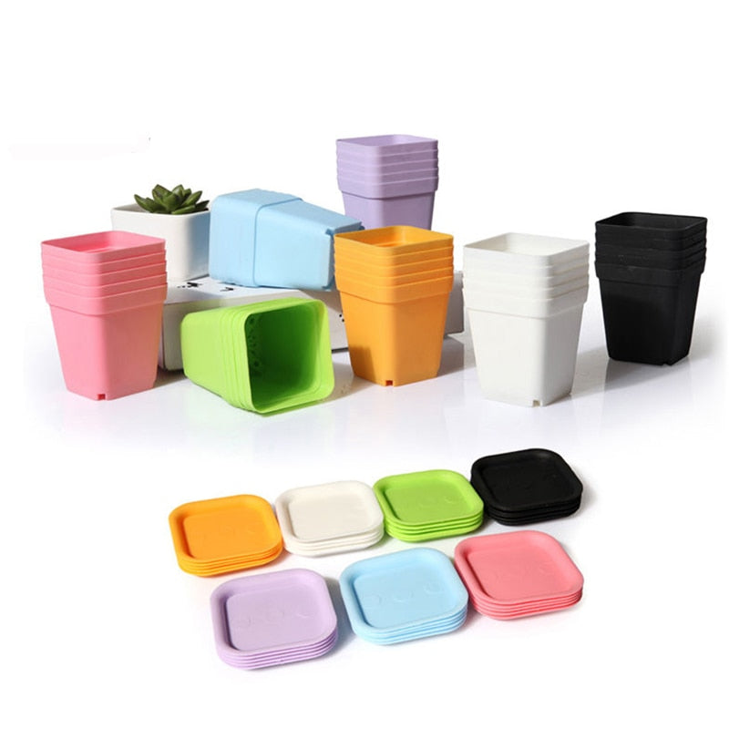 Plastic Mini Succulent Pots with Trays (Set of 10) by HitMyNeed