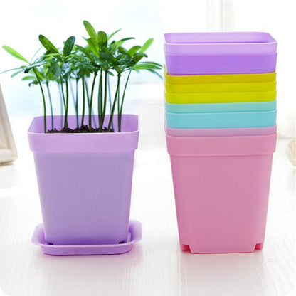 Plastic Mini Succulent Pots with Trays (Set of 10) by HitMyNeed