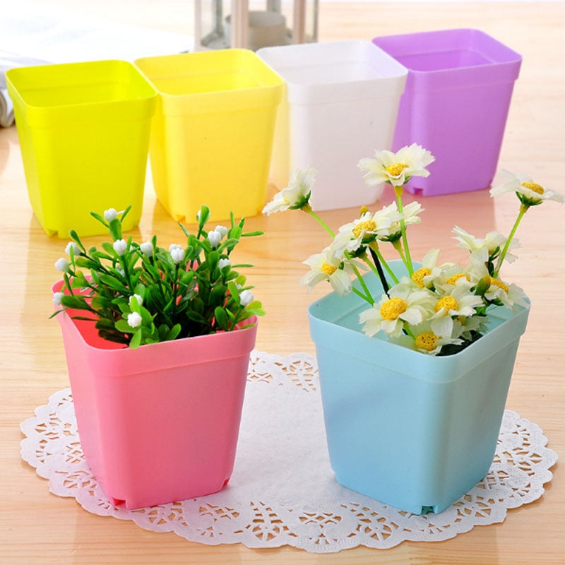 Plastic Mini Succulent Pots with Trays (Set of 10) by HitMyNeed