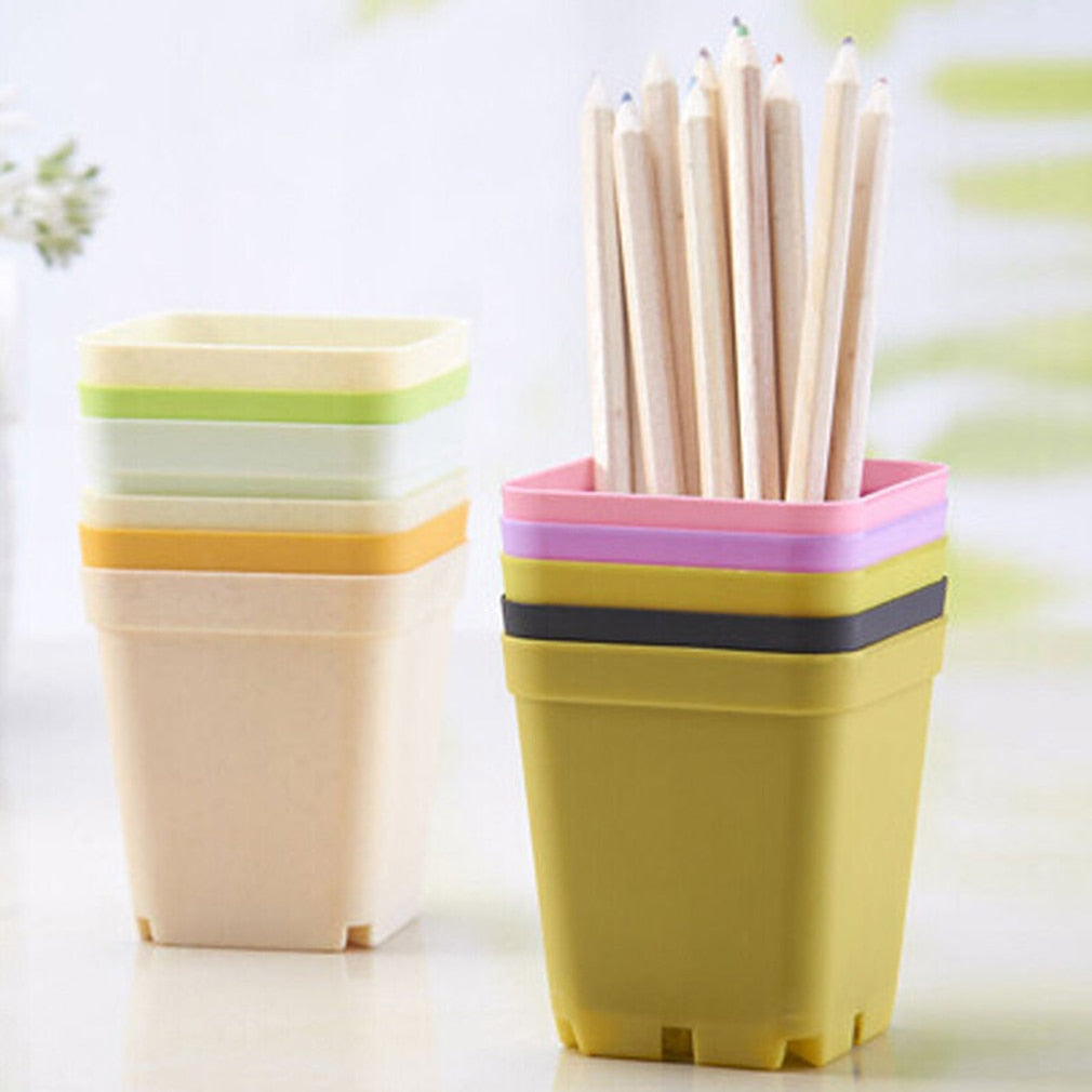 Plastic Mini Succulent Pots with Trays (Set of 10) by HitMyNeed