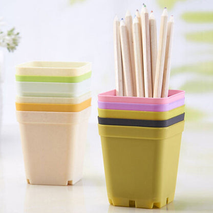 Plastic Mini Succulent Pots with Trays (Set of 10) by HitMyNeed