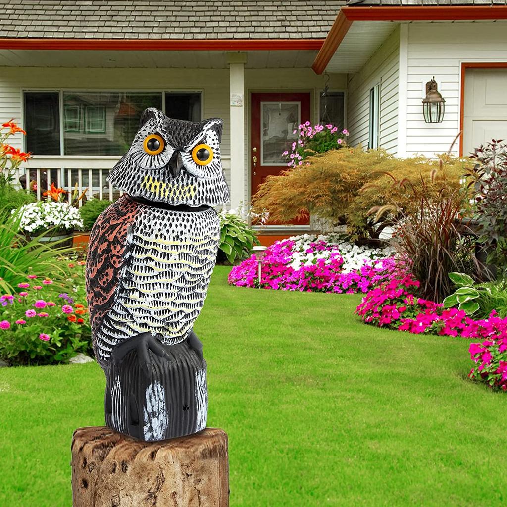 Plastic Owl Decoy with Rotating Head and Sound no-sound by HitMyNeed