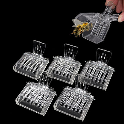 Plastic Queen Bee Catcher Clips, Set of 5 by HitMyNeed