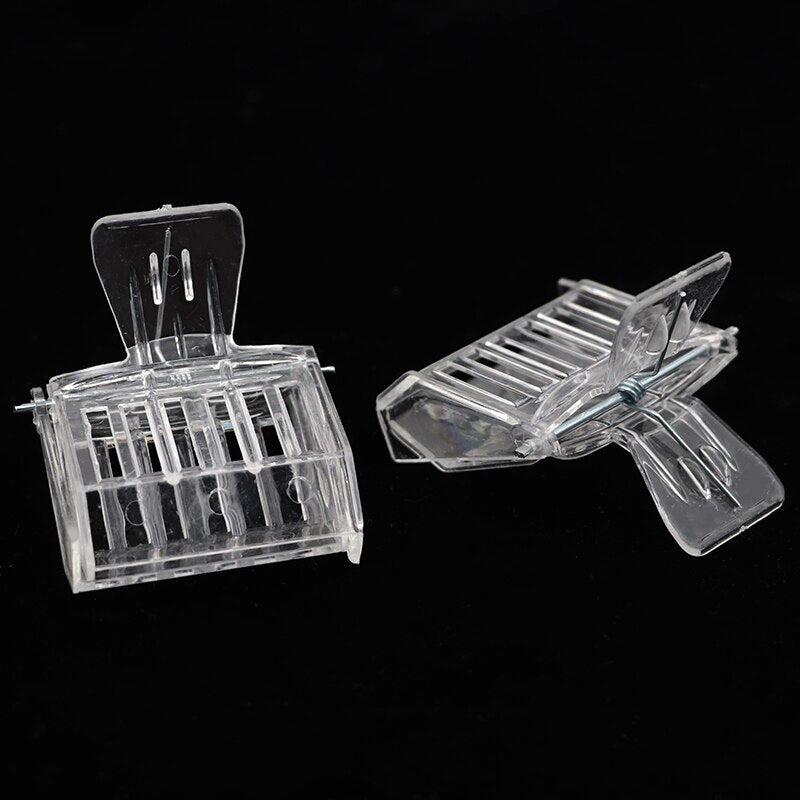 Plastic Queen Bee Catcher Clips, Set of 5 by HitMyNeed