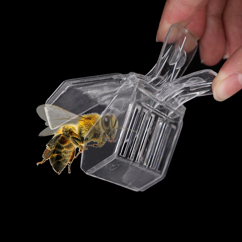 Plastic Queen Bee Catcher Clips, Set of 5 by HitMyNeed