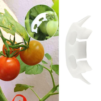 Plastic Tomato Grafting Clips 39mm (100 Pack) by HitMyNeed