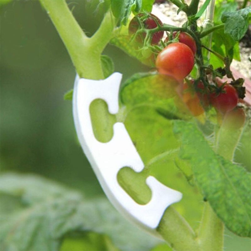 Plastic Tomato Grafting Clips 39mm (100 Pack) by HitMyNeed