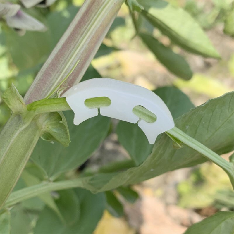 Plastic Tomato Grafting Clips 39mm (100 Pack) by HitMyNeed