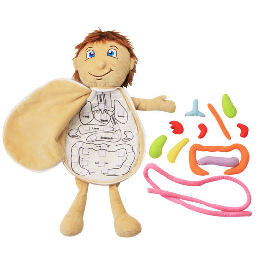 Plush Anatomy Doll with Removable Organs by HitMyNeed