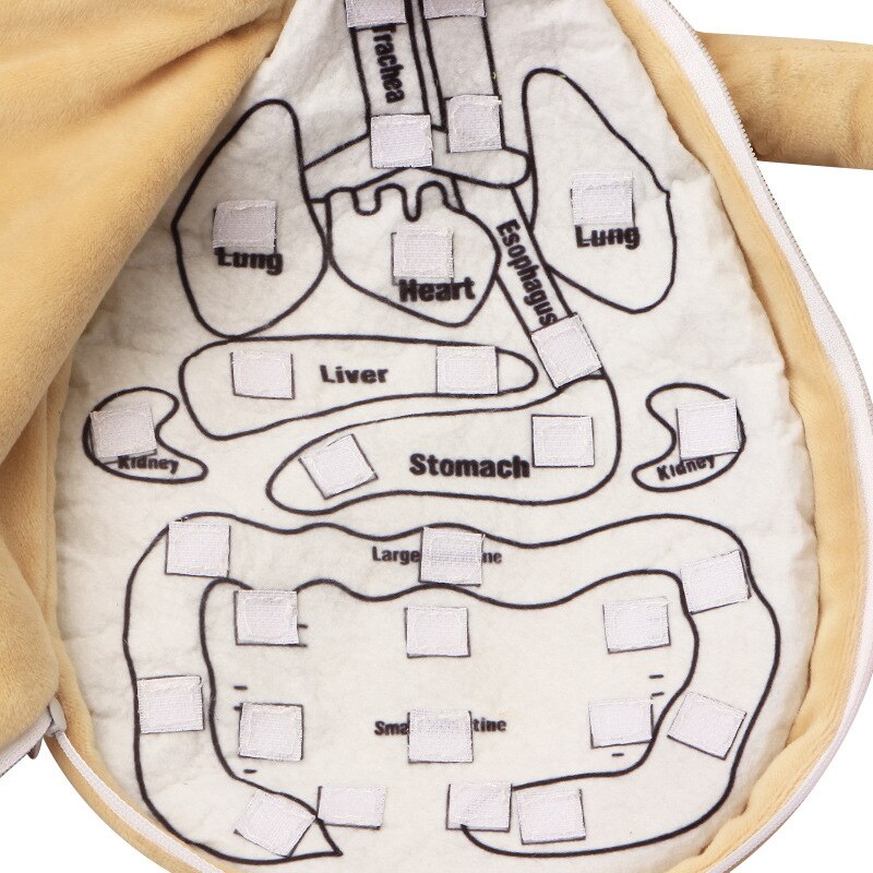 Plush Anatomy Doll with Removable Organs by HitMyNeed