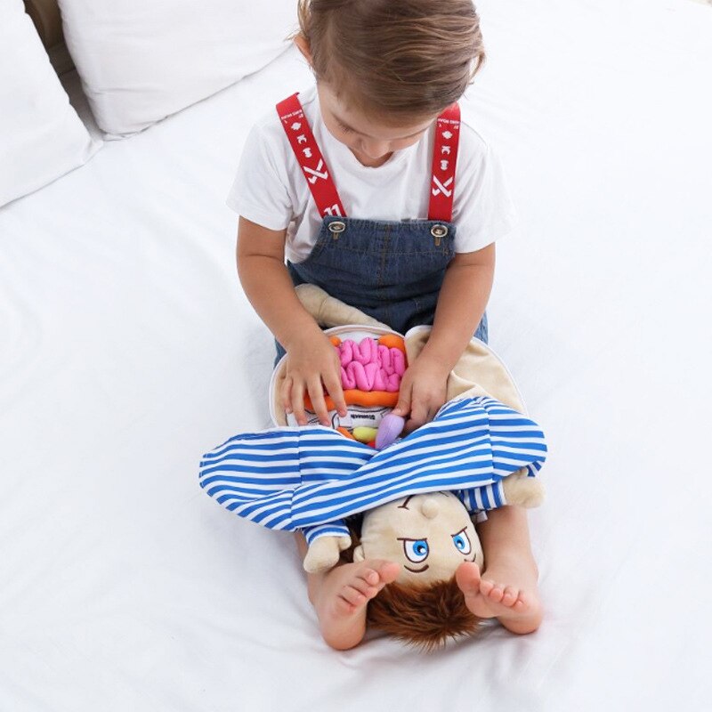 Plush Anatomy Doll with Removable Organs by HitMyNeed