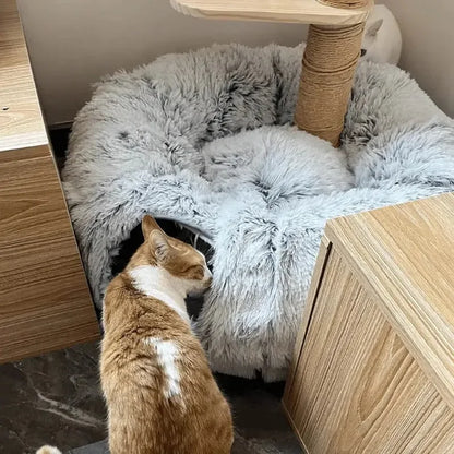 Plush Cat Tunnel Bed with Donut Lounger and Peephole by HitMyNeed
