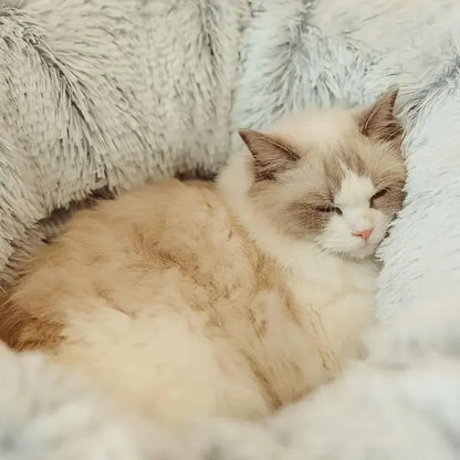 Plush Cat Tunnel Bed with Donut Lounger and Peephole by HitMyNeed