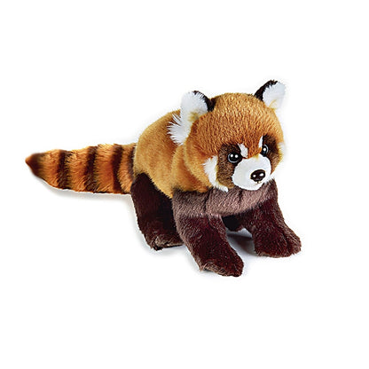 Plush Cotton Red Panda Soft Toy 23cm by HitMyNeed
