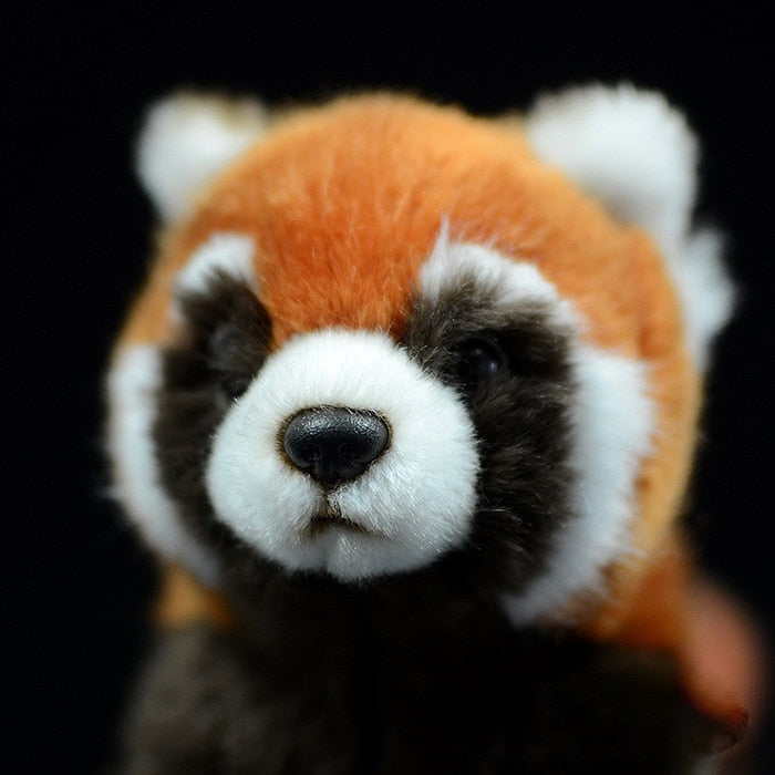 Plush Cotton Red Panda Soft Toy 23cm by HitMyNeed
