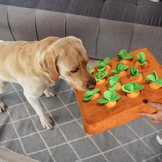 Plush Pull-Out Carrot Dog Puzzle Toy by HitMyNeed