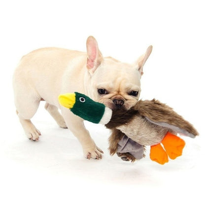 Plush Squeaking Duck Dog Toy 21cm by HitMyNeed