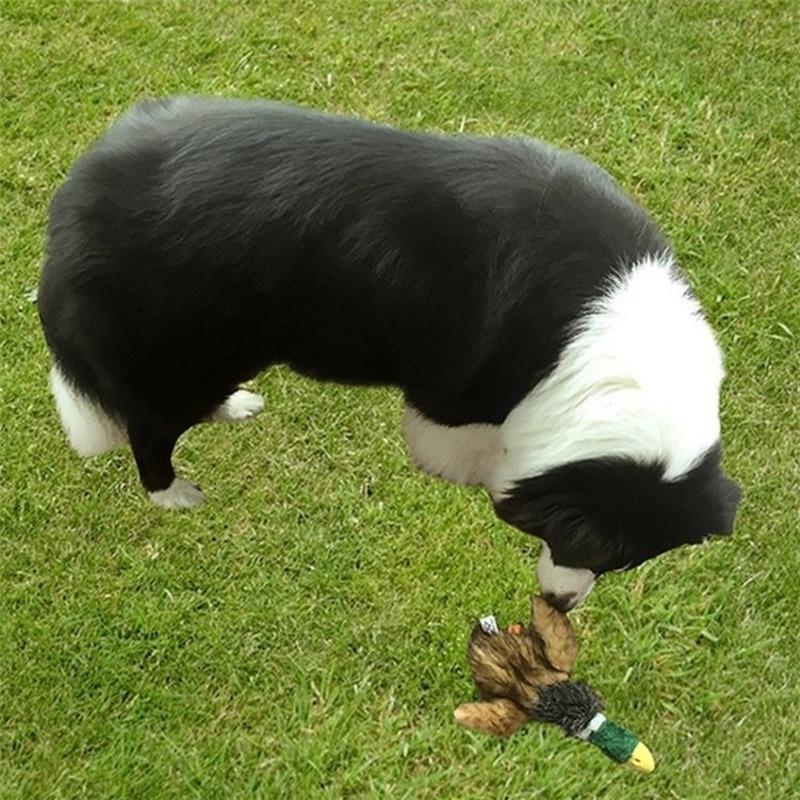 Plush Squeaking Duck Dog Toy 21cm by HitMyNeed