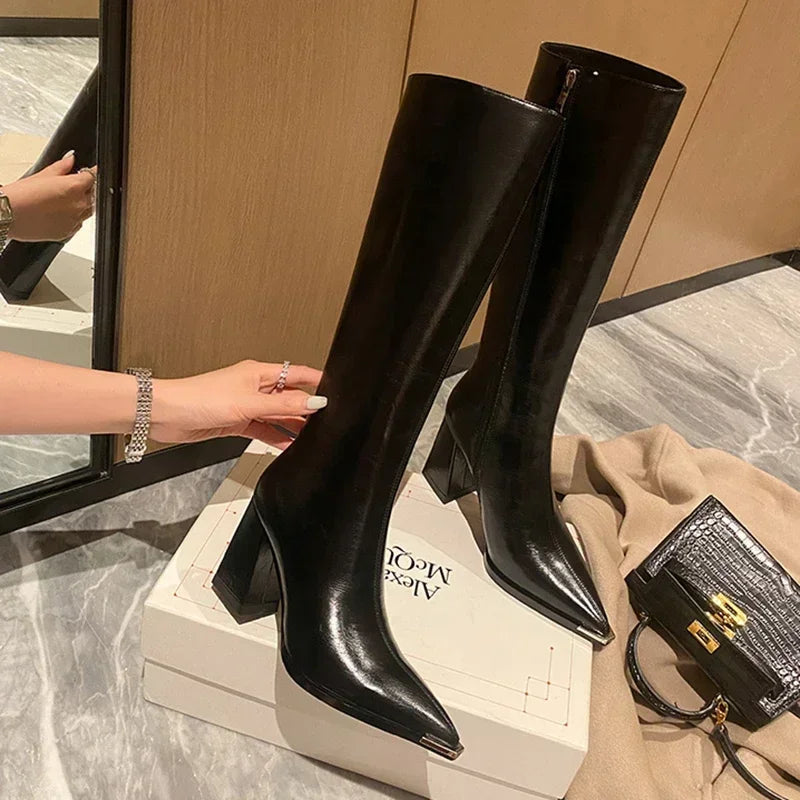 Pointed Toe Women's High Heel Long Boots with Zipper by HitMyNeed