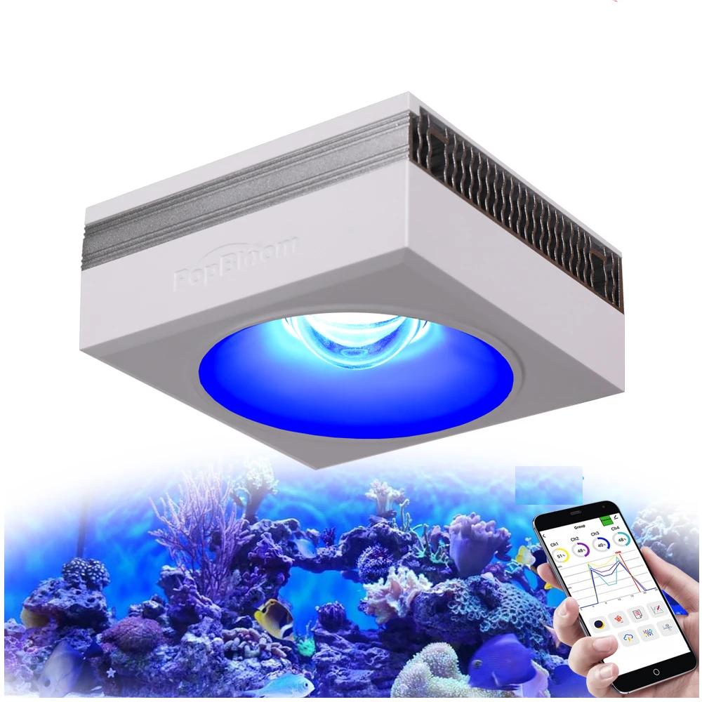 PopBloom RL90 WiFi Full Spectrum Reef Aquarium Light by HitMyNeed