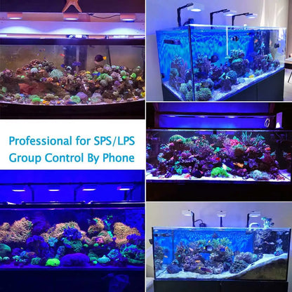 PopBloom RL90 WiFi Full Spectrum Reef Aquarium Light by HitMyNeed