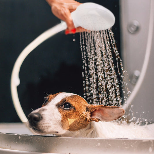Portable Dog Shower Head with Faucet Hose by HitMyNeed