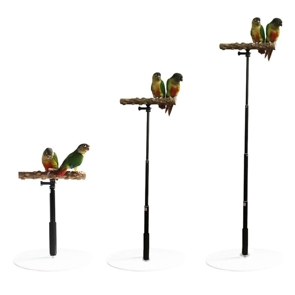 Portable Foldable Parrot Training Stand by HitMyNeed