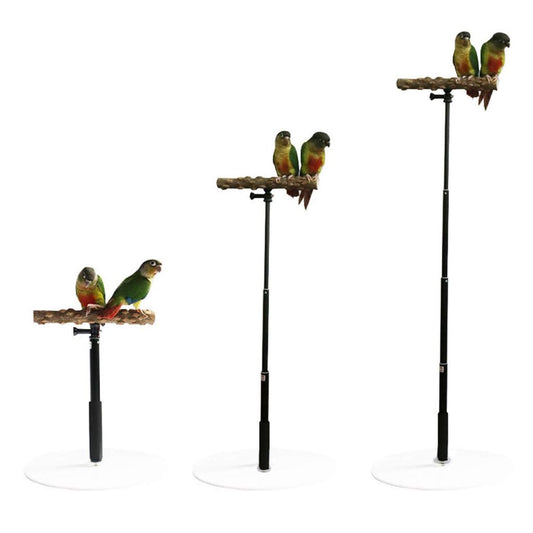 Portable Foldable Parrot Training Stand by HitMyNeed