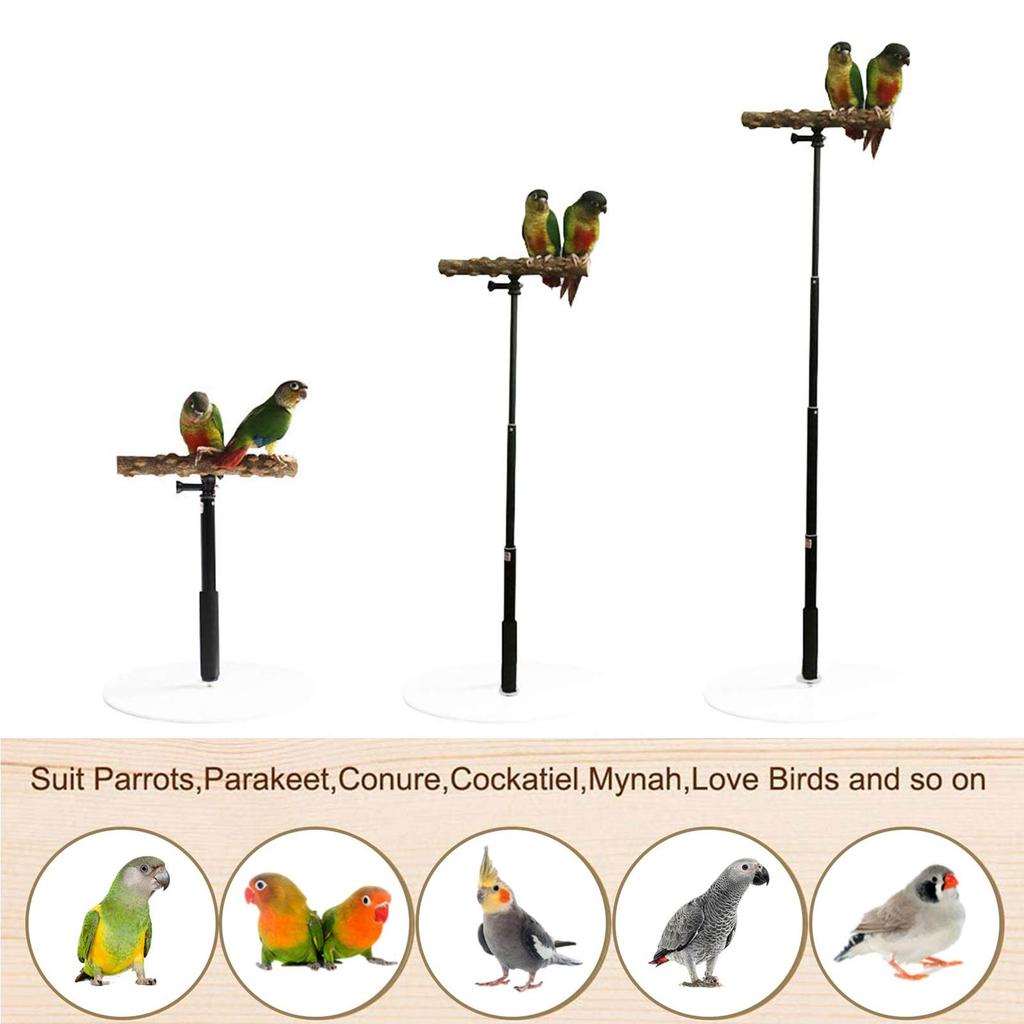 Portable Foldable Parrot Training Stand by HitMyNeed