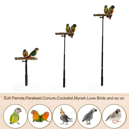 Portable Foldable Parrot Training Stand by HitMyNeed