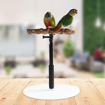 Portable Foldable Parrot Training Stand by HitMyNeed