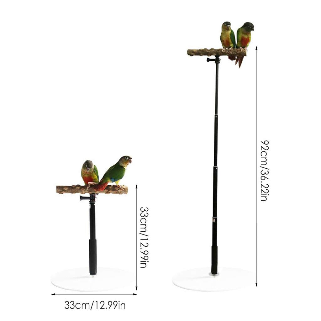 Portable Foldable Parrot Training Stand by HitMyNeed