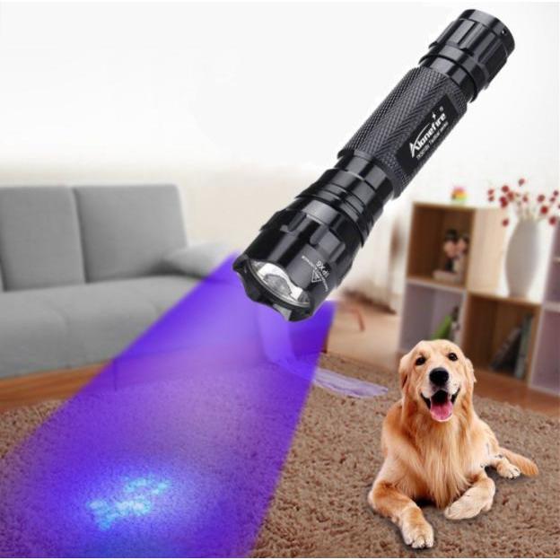 Portable LED UV Flashlight 395nm Black Light Torch by HitMyNeed