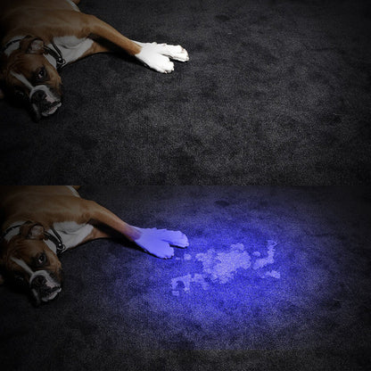 Portable LED UV Flashlight 395nm Black Light Torch by HitMyNeed
