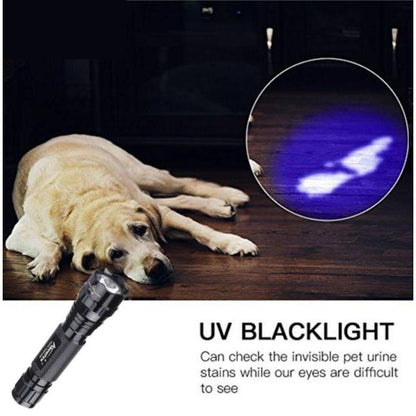 Portable LED UV Flashlight 395nm Black Light Torch by HitMyNeed