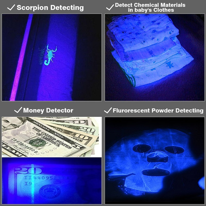 Portable UV Flashlight LED Torch 395-410nm by HitMyNeed