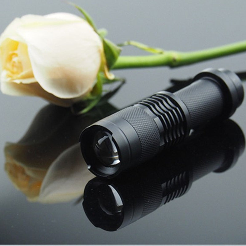Portable UV Flashlight LED Torch 395-410nm by HitMyNeed