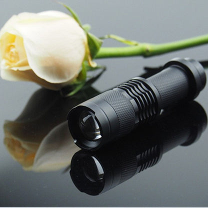 Portable UV Flashlight LED Torch 395-410nm by HitMyNeed