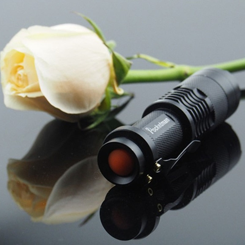 Portable UV Flashlight LED Torch 395-410nm by HitMyNeed