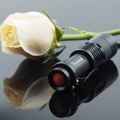 Portable UV Flashlight LED Torch 395-410nm by HitMyNeed