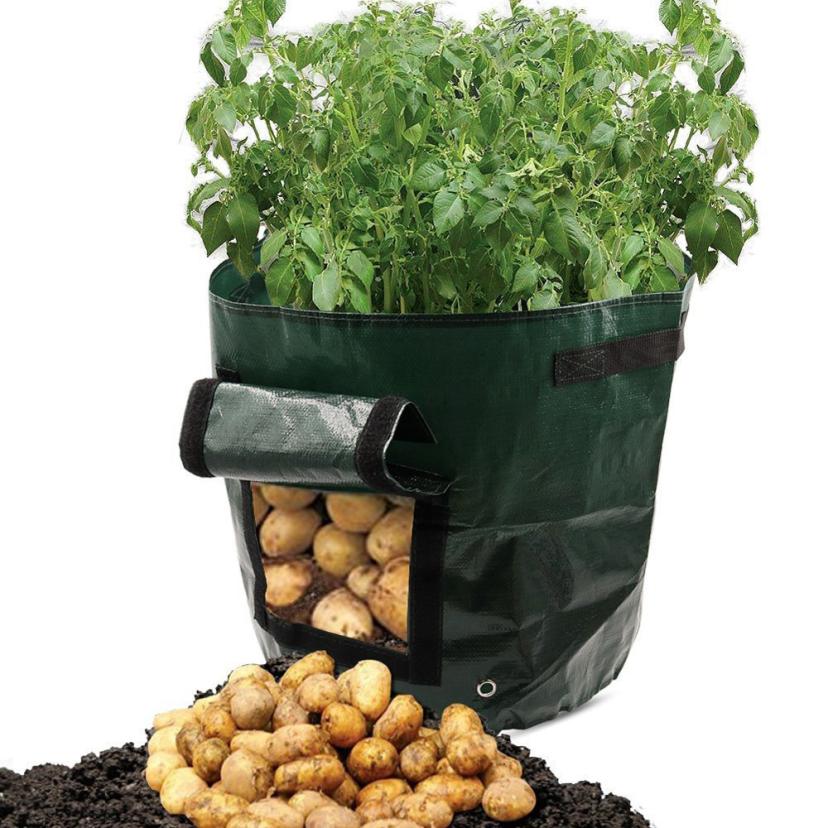 Potato Grow Bag with Harvest Window and Handles by HitMyNeed