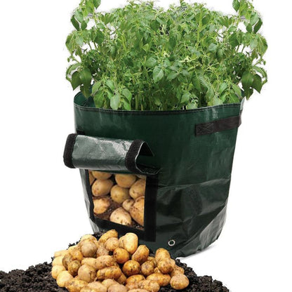 Potato Grow Bag with Harvest Window and Handles by HitMyNeed